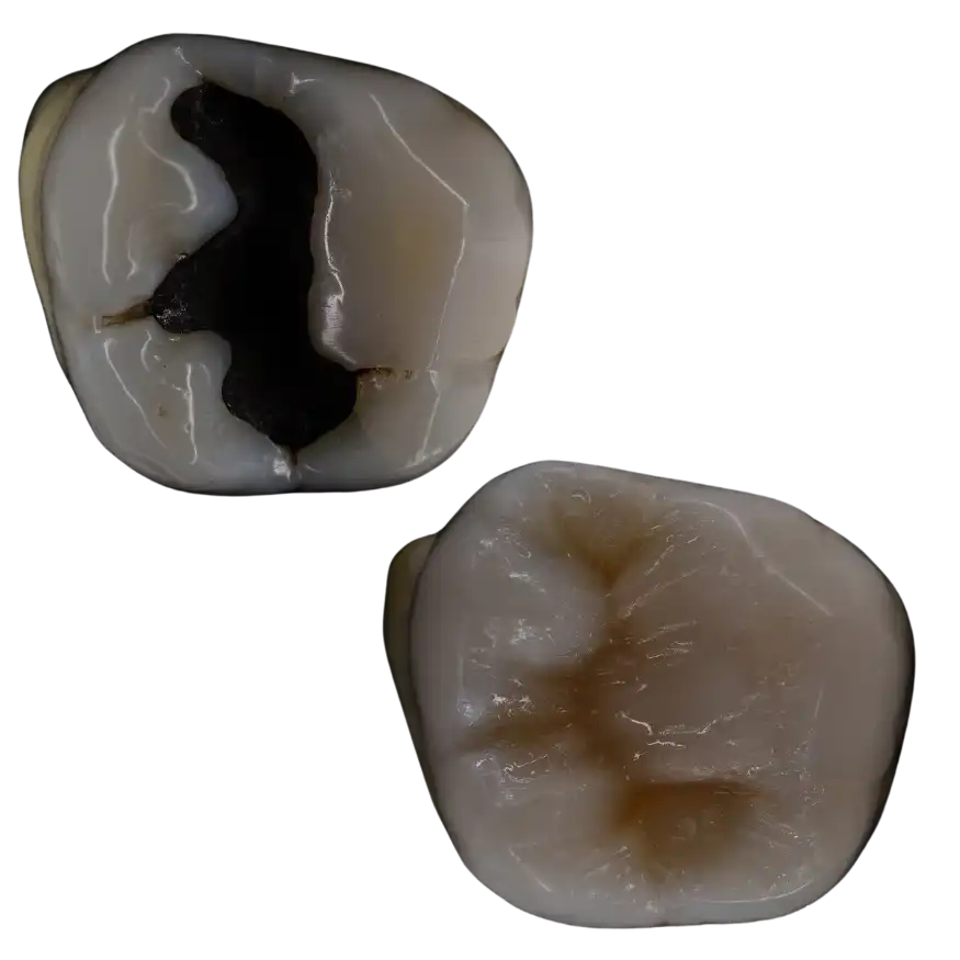 Servicios Odontológicos Especializados