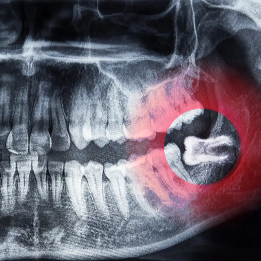 Servicios Odontológicos Especializados